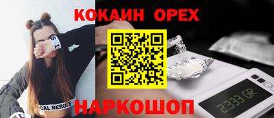 дурь Славгород