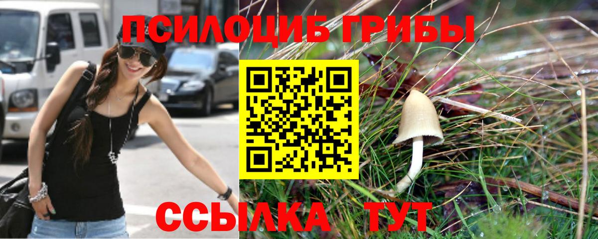 Псилоцибиновые грибы GOLDEN TEACHER Обнинск